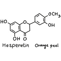 Chemical structures in food and what we eat every day