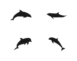 Dolphin icon. Dolphin silhouette collection vector design . Sea life symbols. Dolphins black silhouette vector illustration. Vector silhouette on a white background.	