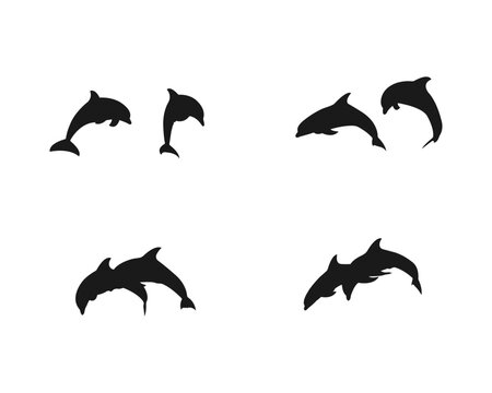Vector set of black silhouettes of dolphins.Dolphin silhouette collection vector design .Dolphin aquatic mammal vector icon for animal apps and websites .Vector silhouette on a white background .