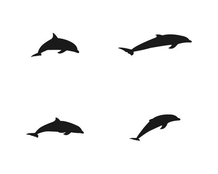Dolphins line shape silhouette icon . Animals set vector illustration. Sea life symbols . Dolphin aquatic mammal vector icon for animal apps and websites . Vector silhouette on a white background .