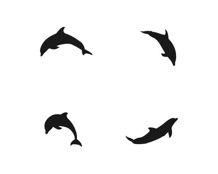 Dolphins line shape silhouette icon . Animals set vector illustration. Sea life symbols . Dolphin aquatic mammal vector icon for animal apps and websites . Vector silhouette on a white background .