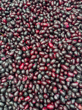 Syzygium cumini, commonly known as Malabar plum, Java plum, black plum, jamun, jaman, jambul, or jambolan.