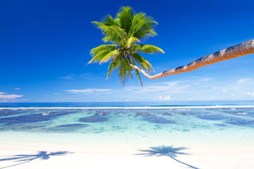 Obraz na płótnie Canvas Tropical beach on Samoa