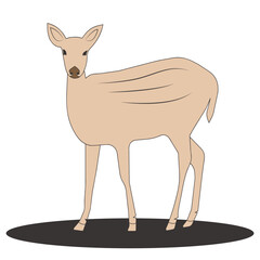 deer icon vector illustration