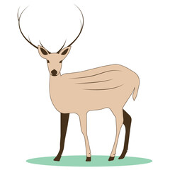 deer icon vector illustration