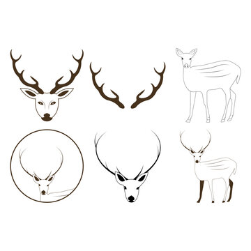 deer vector element design
