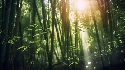 Morning Bliss: Sunlit Green Bamboo Forest Delight
