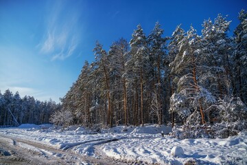 Cold winter in Europe after  sanctions against Russia. Lumber industry, woodworking industry,...