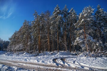 Cold winter in Europe after  sanctions against Russia. Lumber industry, woodworking industry,...