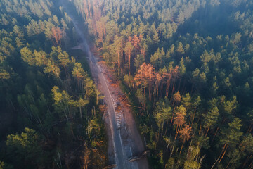 Misty and foggy morning forest landscape with dead pine trees and road after bombing through it. Lumber industry, woodworking industry, global warming, and climate change - 614231240