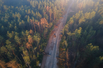Misty and foggy morning forest landscape with dead pine trees and road after bombing through it. Lumber industry, woodworking industry, global warming, and climate change - 614231270