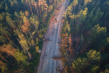 Misty and foggy morning forest landscape with dead pine trees and road after bombing through it. Lumber industry, woodworking industry, global warming, and climate change - 614231272