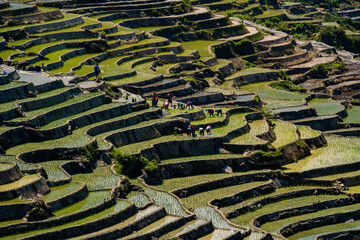 The pouring water season makes the terraced fields of Y Ty commune, Lao Cai province, Vietnam appear with brown soil blending with the beautiful sky.