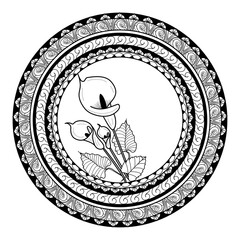 Vector illustration of mandala with calla flowers for coloring adult book antistress, mandala vettoriale con calle da colorare per libro adulti antistress © rosangelaincusci