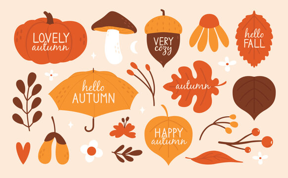 Hand drawn set of autumn badges, labels, stickers. Cute and cozy cliparts with umbrella, acorn, oak leaf, pumpkin, mushroom, flowers. Modern illustrations in flat minimal style. Hello autumn concept.