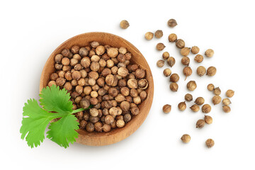 Dried coriander seeds in the wooden bowl with fresh green leaf isolated on white background. Top view. Flat lay