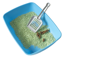 Poop in the kitty litter box and cleaning shovel. Cat litter box with poop. Isolate. Available in PNG

