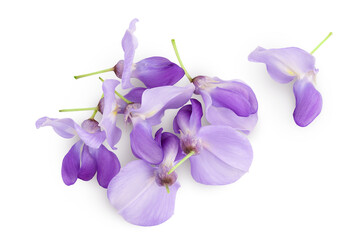 Wisteria flowers isolated on white background with full depth of field. Top view. Flat lay.