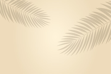 Empty palm leaves shadow on the pink wall best for spring and summer. Minimal abstract background for product presentation, palm, leaves,