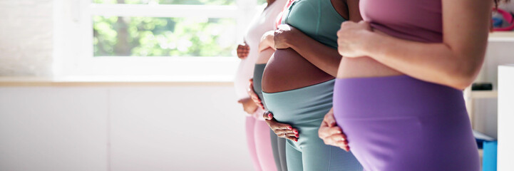 Pregnant Woman Group In Row