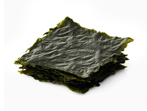 Sheet of dried seaweed isolated on transparent or white background, png