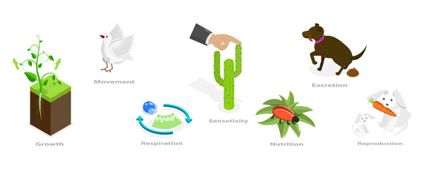 3D Isometric Flat  Conceptual Illustration of Characteristics Of Living Things