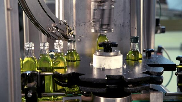 Olive oil in glass bottles moving on production line. Olive oil production factory.