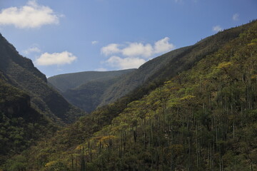 Naklejka premium hills