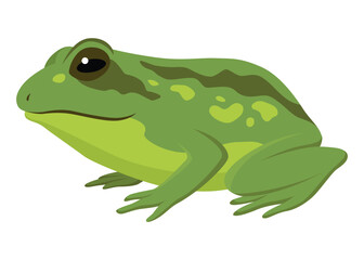 Frog jumping animation icon. Sequences or footage for motion design. Cartoon toad jumping, animal movement concept. Frog leap sequence, vector illustration