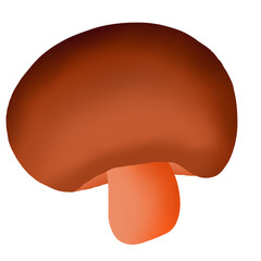 mushroom isolated on white background