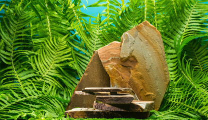 stones and plants for product presentation.brown stones on green fern branches background for podium background banner.medicine cosmetics natural products concept.