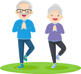 senior couple doing exercise sports.elderly people training together