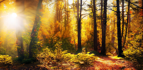 Fototapeta premium Beautiful autumn forest scenery bright sun bright background nature