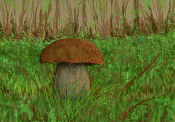 Mushrooms - digital painting  - obrazy, fototapety, plakaty