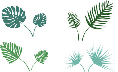 Palm leaves, vector. Different leaves of a palm tree in green color, a set of elements.