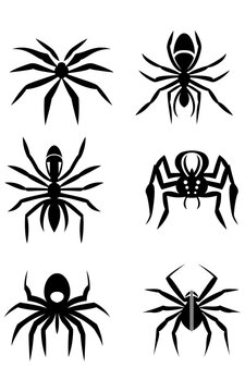 Set of different spider icons vector image , Different shapes of spiders black and white silhouette stock vector illustrations