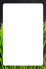 Obraz premium Creative and colored rectangle border with white background