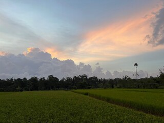 Fototapeta premium sunset in the mountains
