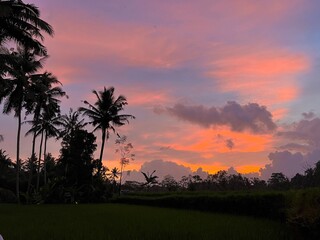 sunset over the river