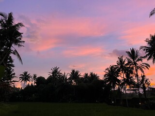 sunset in the palm