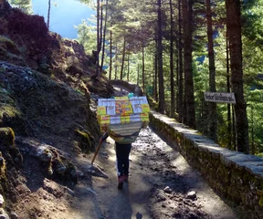 Photo sur Plexiglas Manaslu porter in the mountains