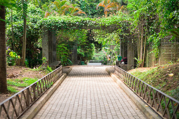 Garden green entrance covered with green trees and leaves, Outdoor park. Entrance with beautiful surroundings, Nature wallpaper