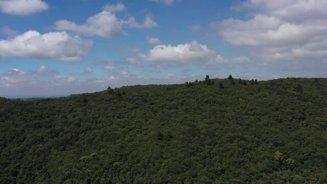 Subindo o morro de vegeta&ccedil;&atilde;o