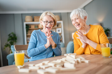 two senior women friends or sisters play leisure board game at home