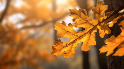 Fototapeta na wymiar Colorful autumn oak leaves in sunlight.Created with Generative AI technology.