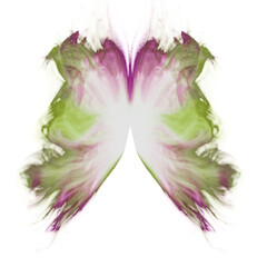 Beautiful watercolor abstract translucent butterfly. Wings look like wet watercolor splashing.