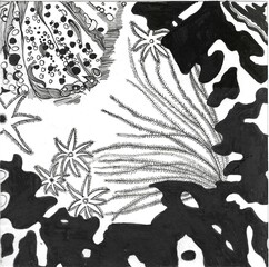 coral reef manual  pattern 