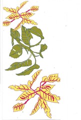 leaf motif stylized