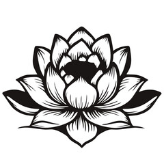 lotus flower vector