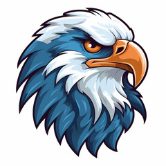 Eagle Head Illustration
